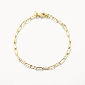 Classic Paperclip Chain Bracelet in 10k Gold