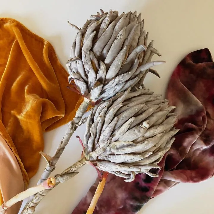 Rise & Ramble Hand-dyed Velvet Scarf in Tumeric