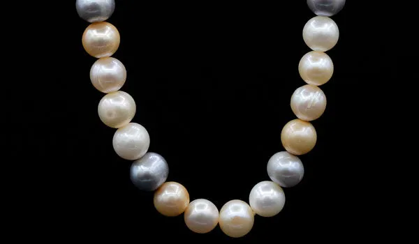 The Cara Freshwater Japanese Pearl Choker